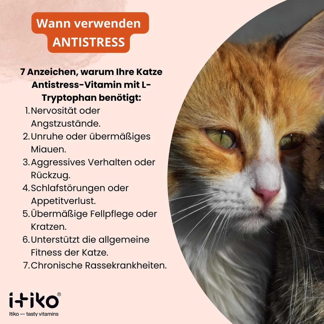 Vitamine für Katzen "Antistress"