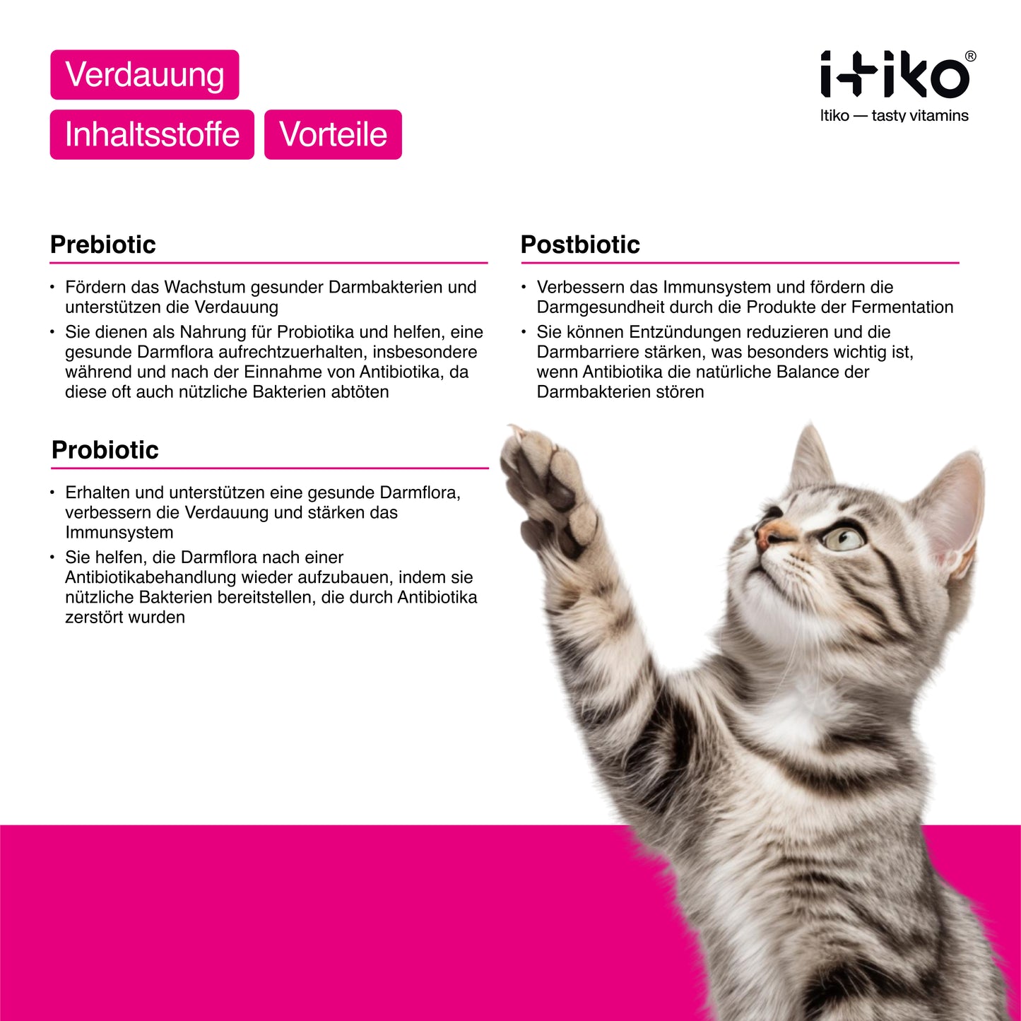 Vitamine für Katzen "Verdauung"