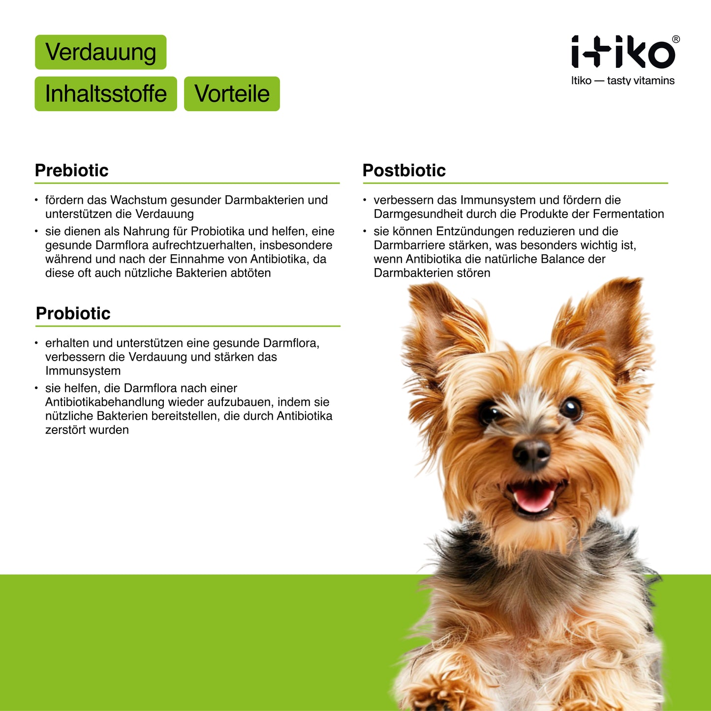 Vitamine für Hunde "Verdauung"