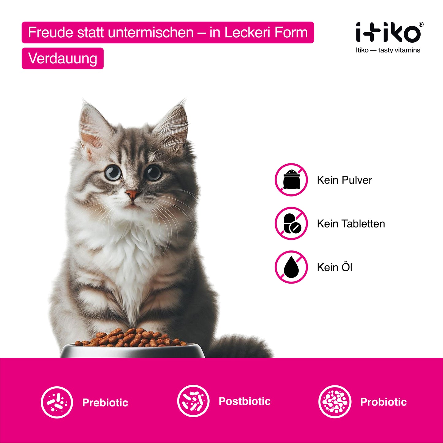 Vitamine für Katzen "Verdauung"