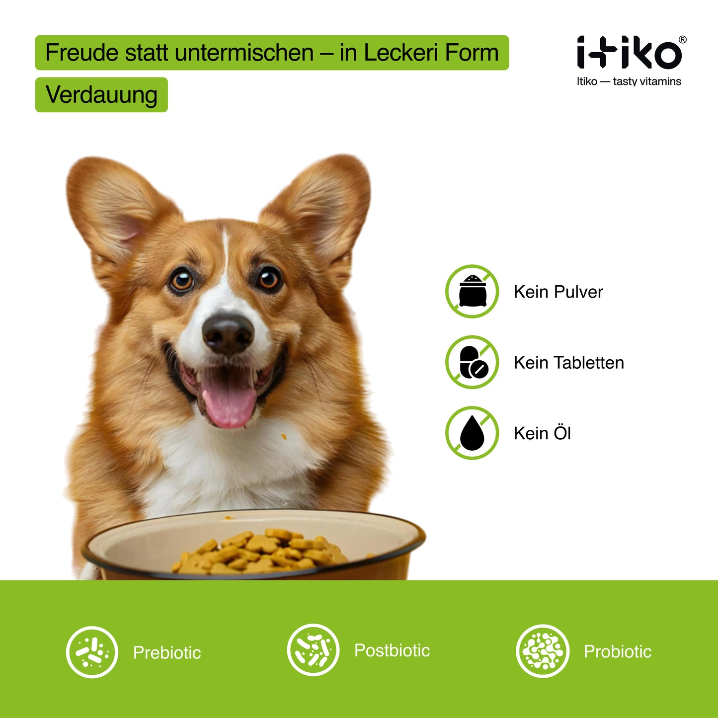Vitamine für Hunde "Verdauung"
