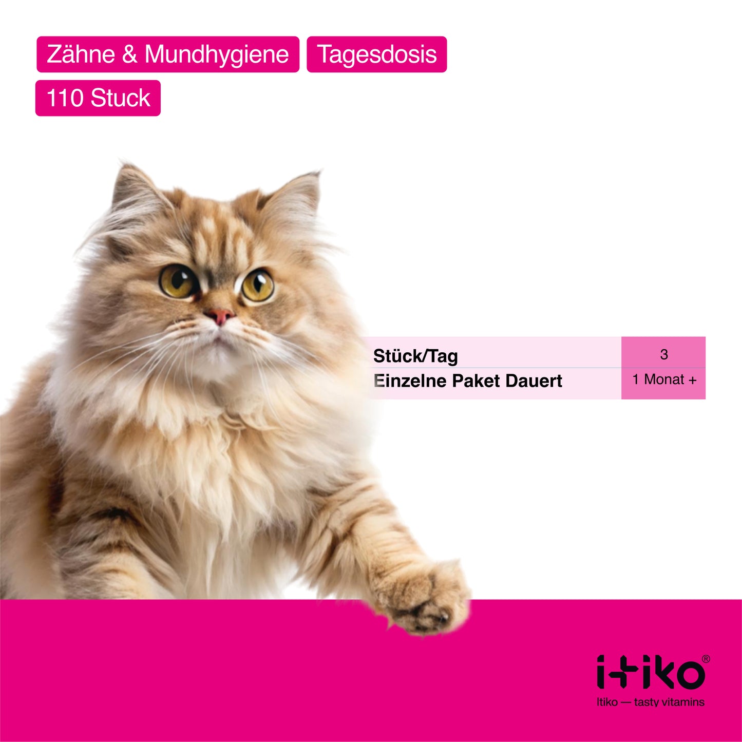 Vitamine für Katzen "Verdauung"