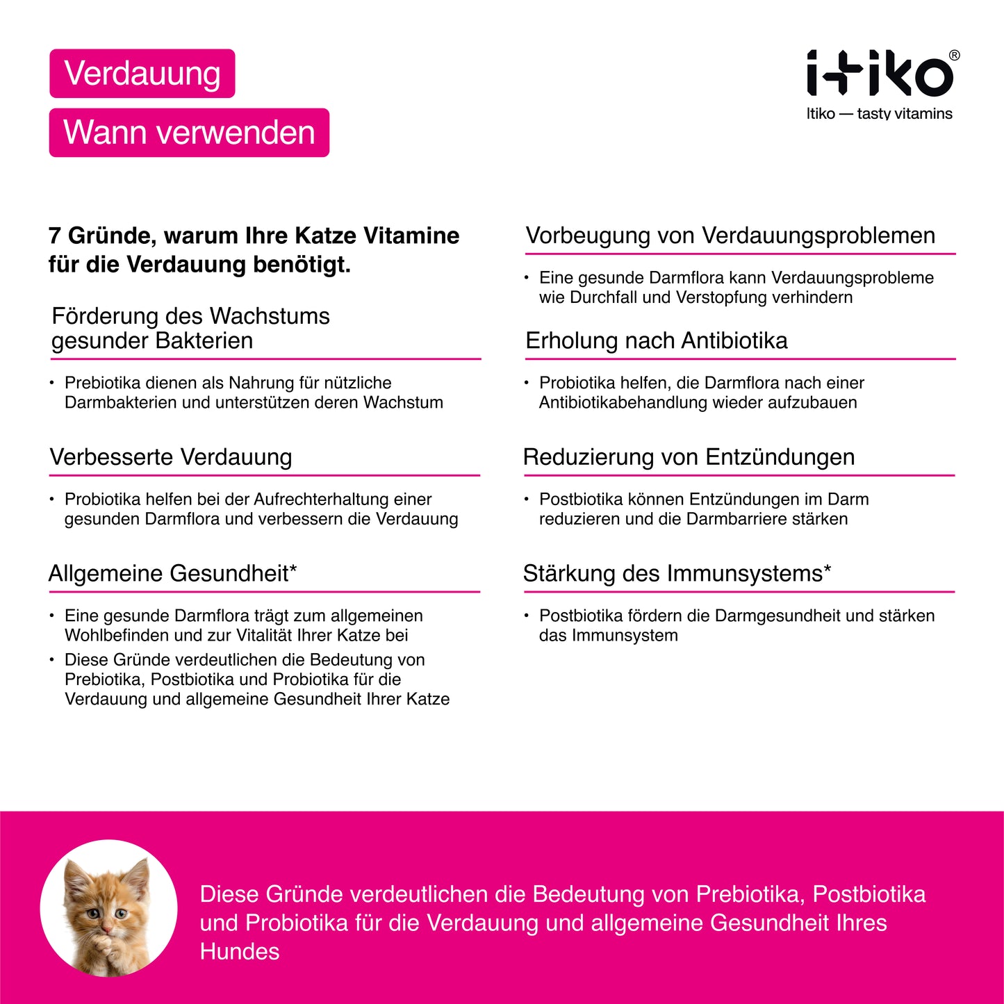 Vitamine für Katzen "Verdauung"