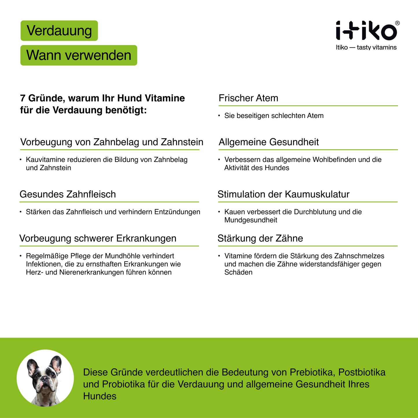 Vitamine für Hunde "Verdauung"
