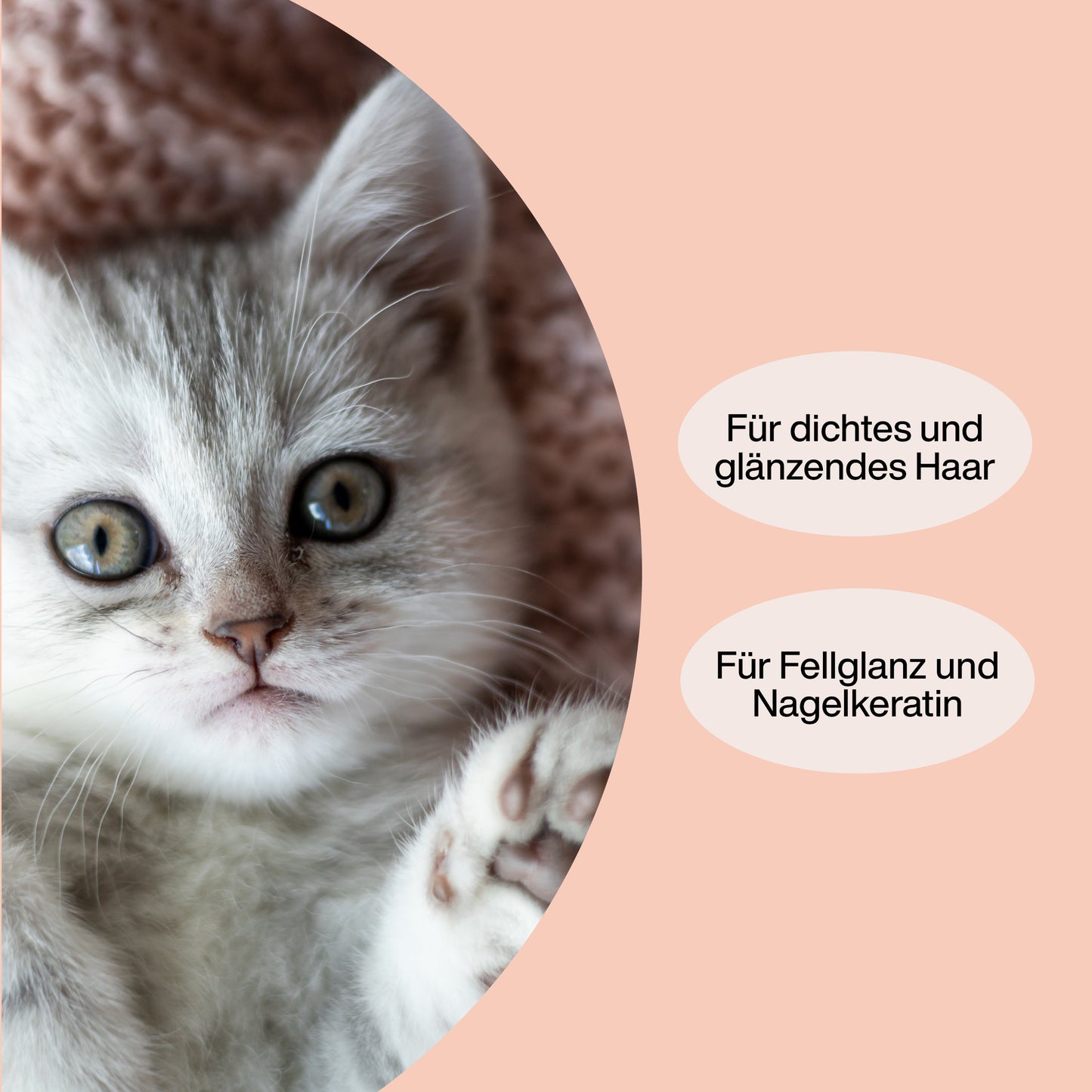 Vitamine für Katzen "Haare & Haut"