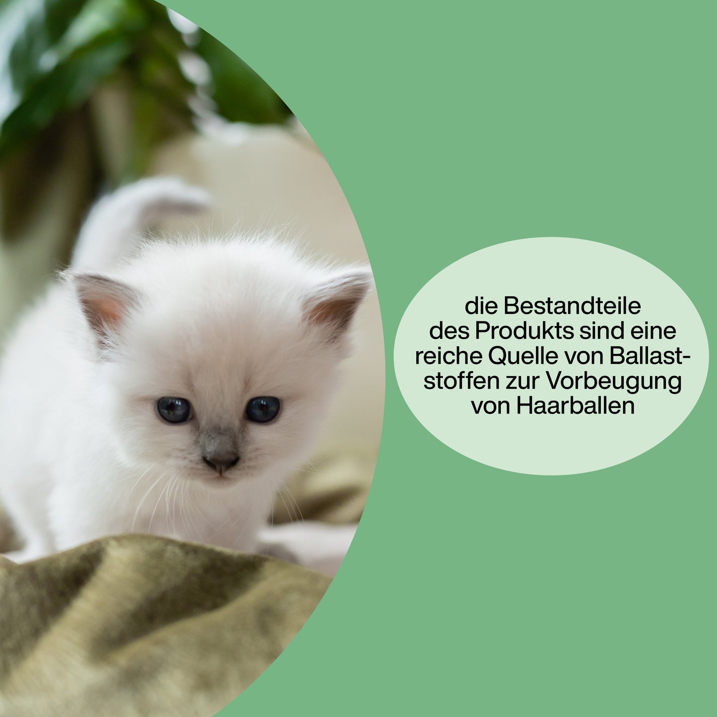 Vitamine für Katzen "Haarballen-Snack"