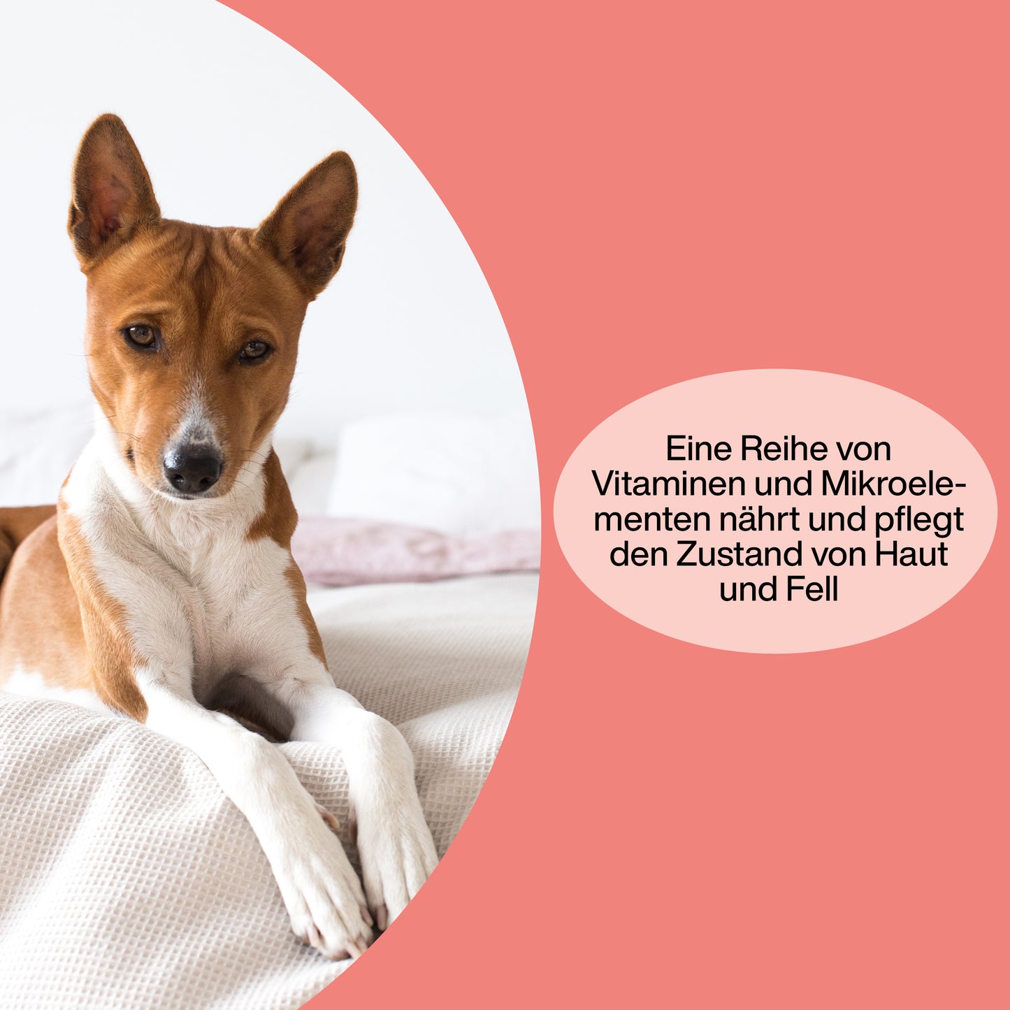 Vitamine für Hunde "Haare & Haut"