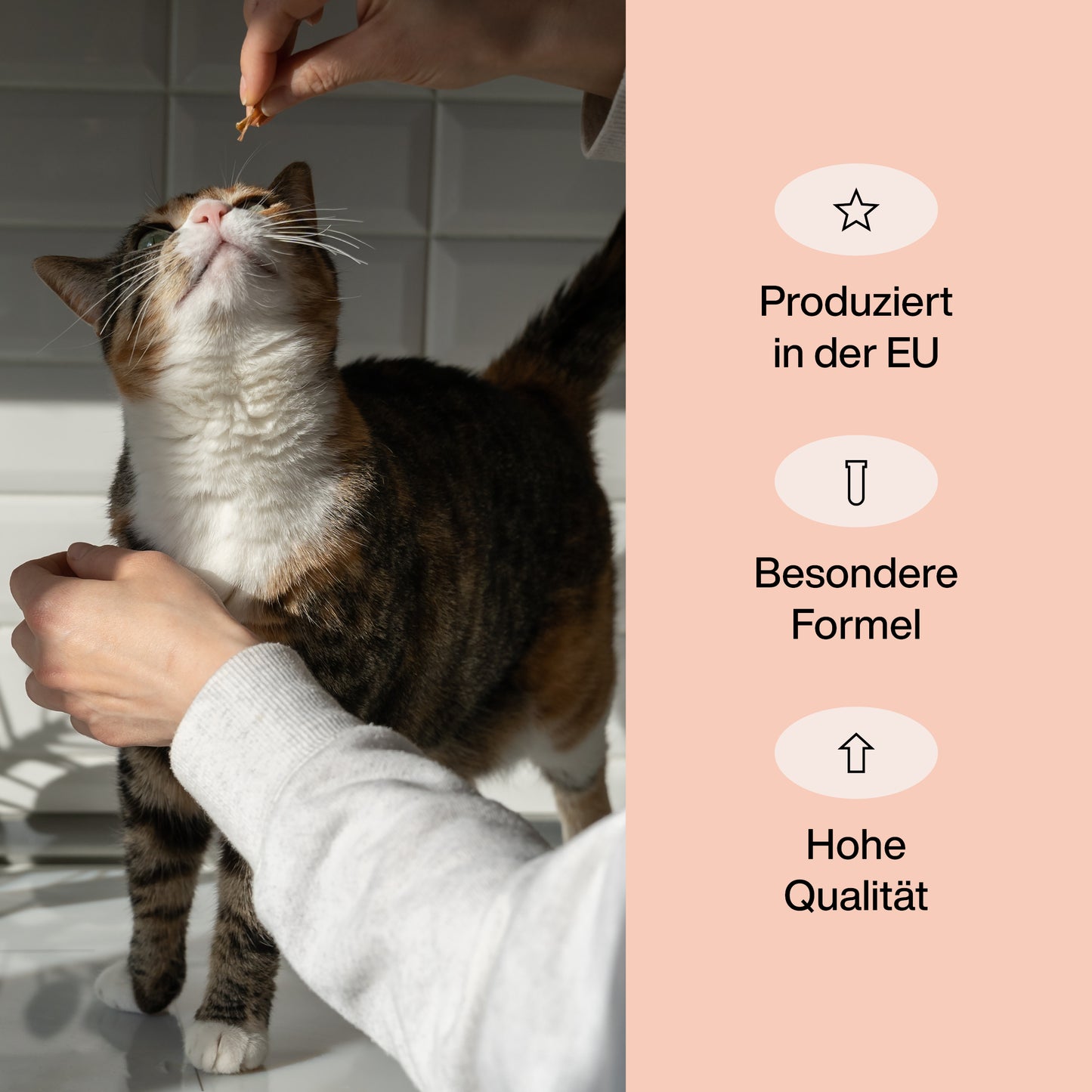 Vitamine für Katzen "Haare & Haut"