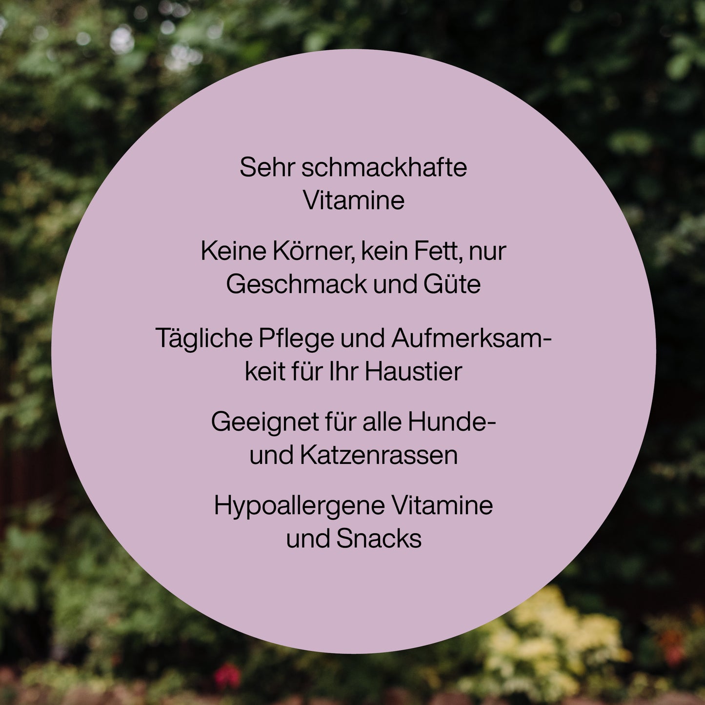 Vitamine für Hunde "Antiparasitärer Snack"