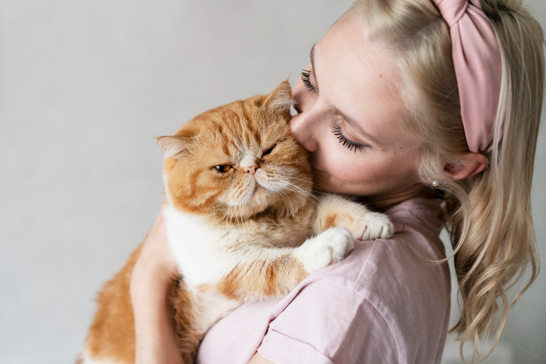 Das Nervensystem Ihrer Katze zu ignorieren, kann tödlich sein: ITIKO Antistress ist die Lösung