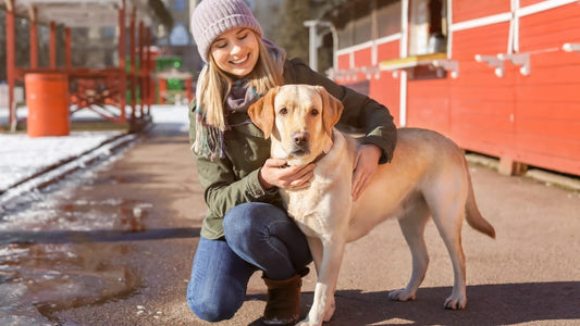 So pflegen Sie Ihren Hund im Winter: Essentielle Tipps, um ihn vor der Kälte zu schützen