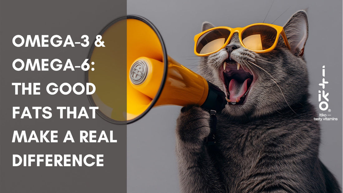 Omega-3 & Omega-6 – Die guten Fette, die den Unterschied machen