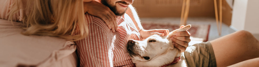 Nahrungsergänzungsmittel für Hunde