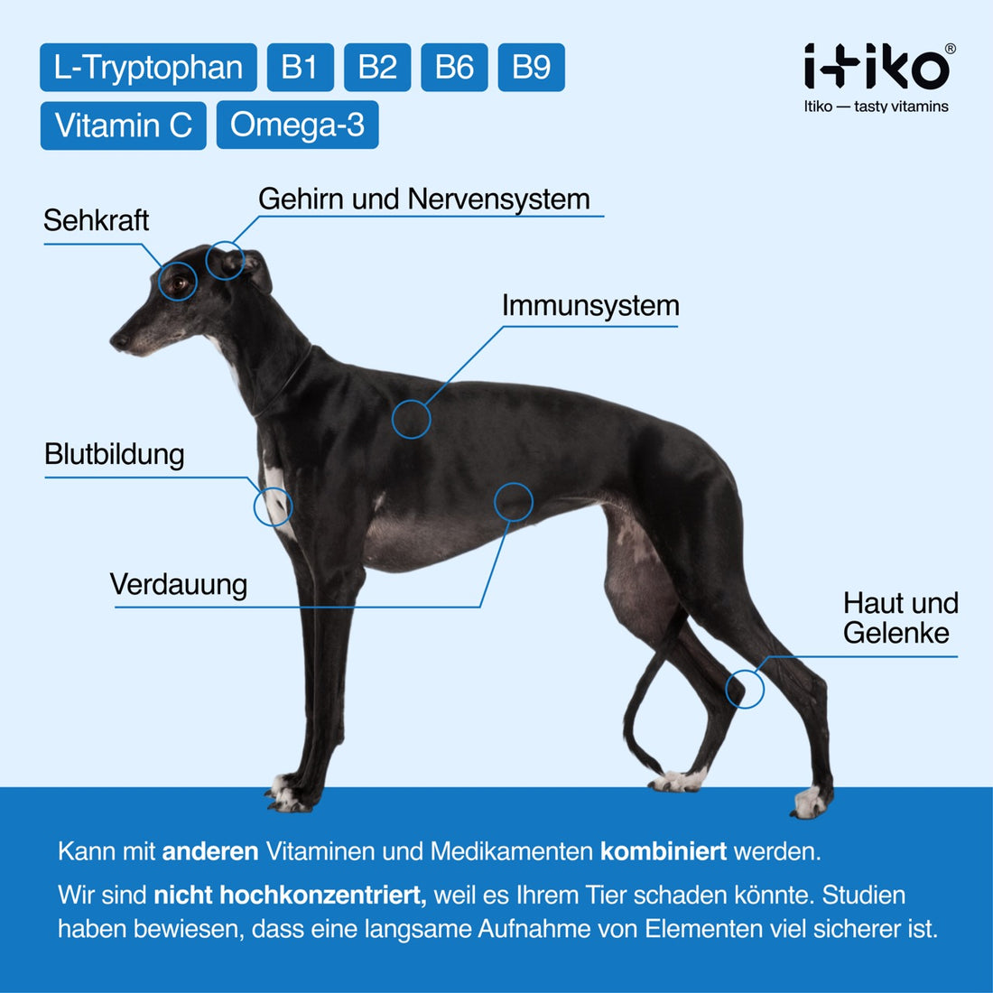 Vorteile von Itiko-Vitaminen