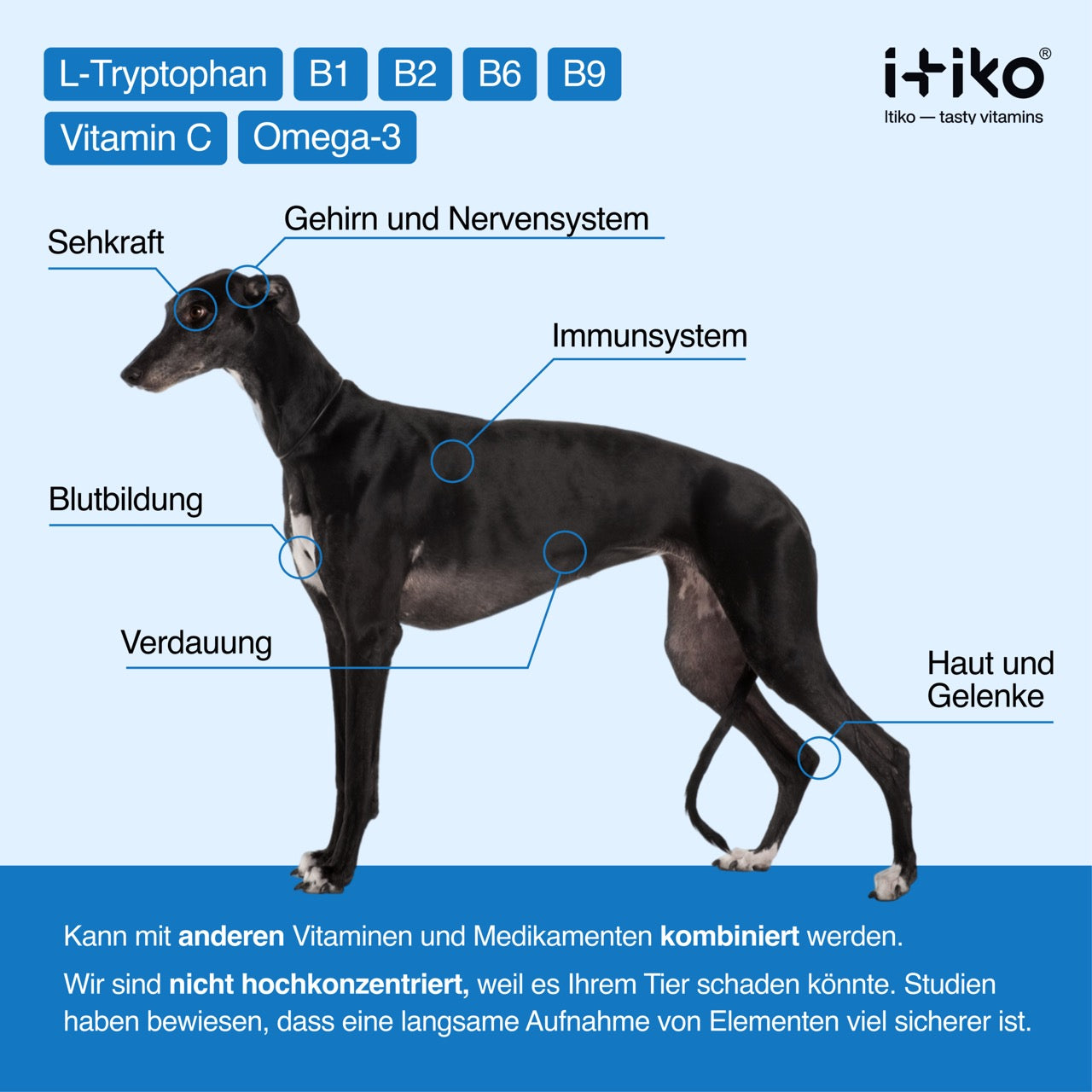 Vitamine für Hunde "Antistress"