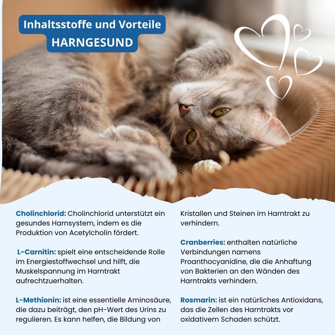 Vitamine per i gatti "urinaria sana"