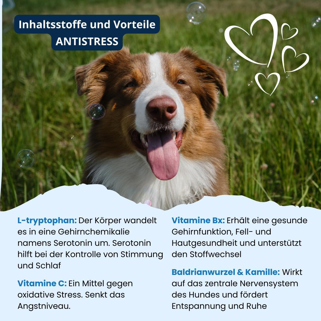 Vitamine für Hunde "Antistress"