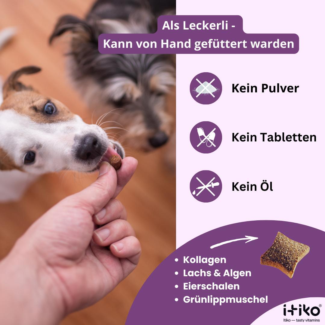 Vitamine für Hunde "Knochen & Gelenke"