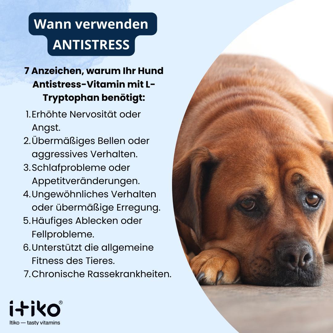 Vitamine für Hunde "Antistress"