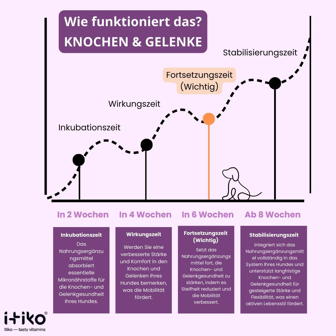 Vitamine für Hunde "Knochen & Gelenke"