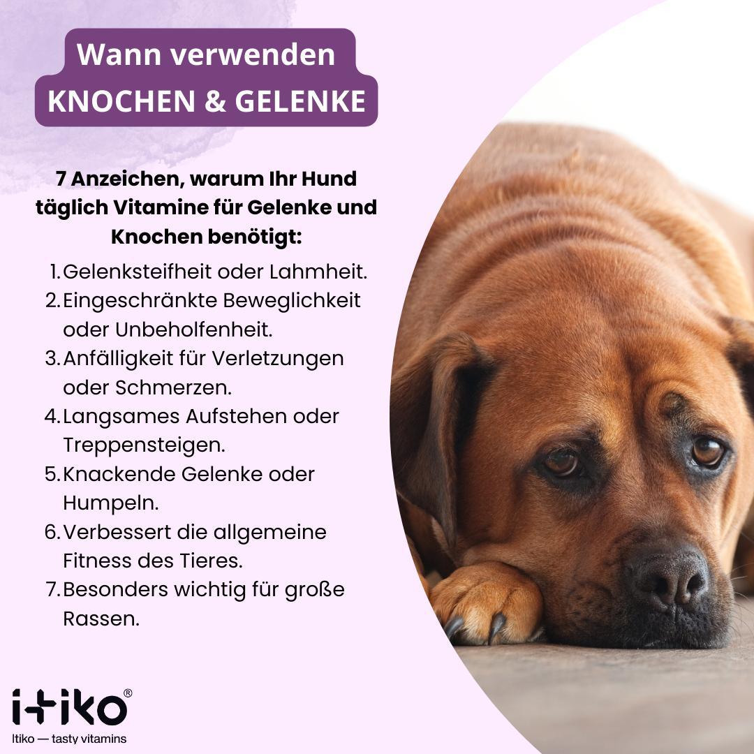 Vitamine für Hunde "Knochen & Gelenke"