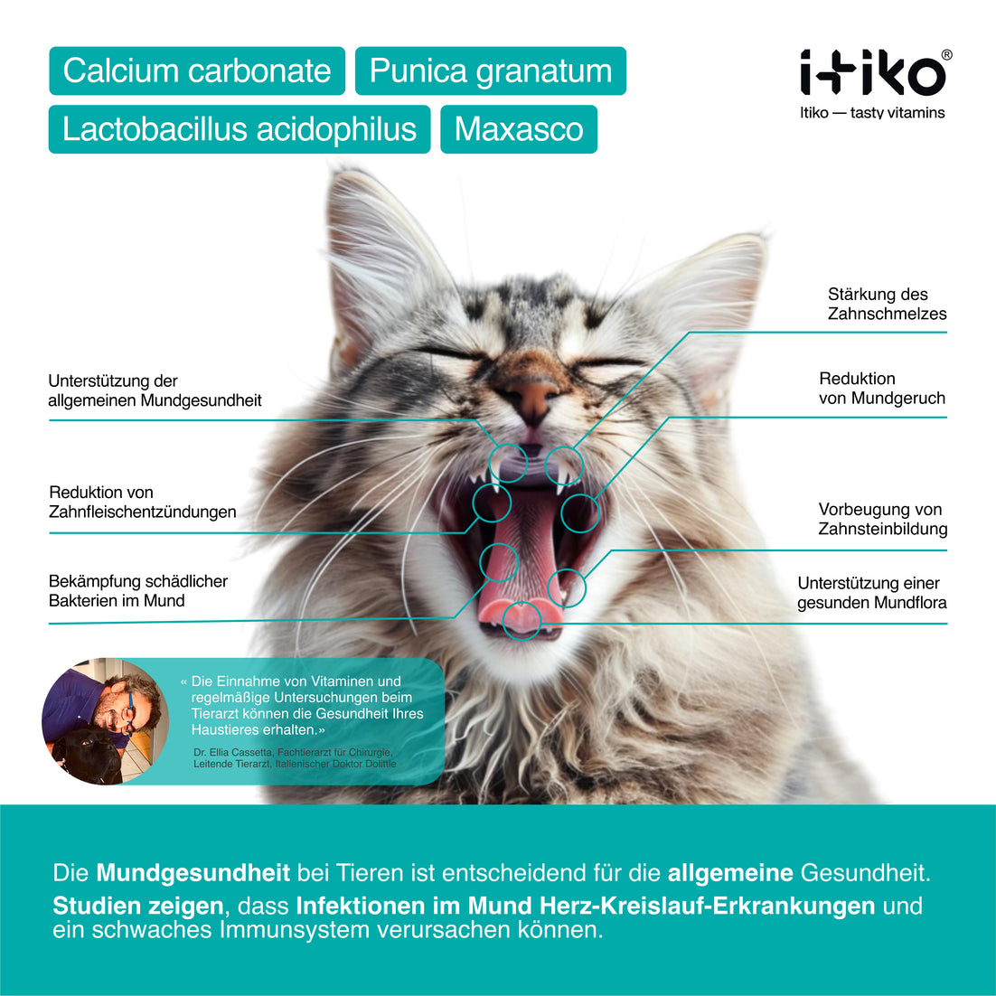 ITIKO Zahnpflege für Katzen