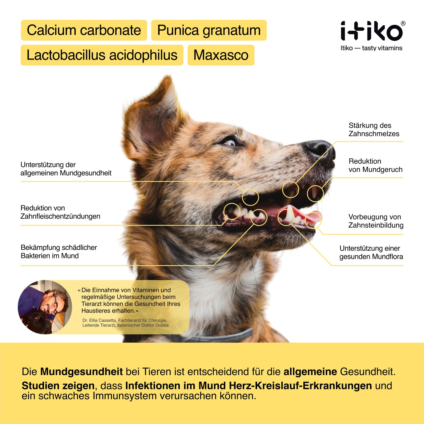 Vitamine für Hunde "Zähne & Mundhygiene"