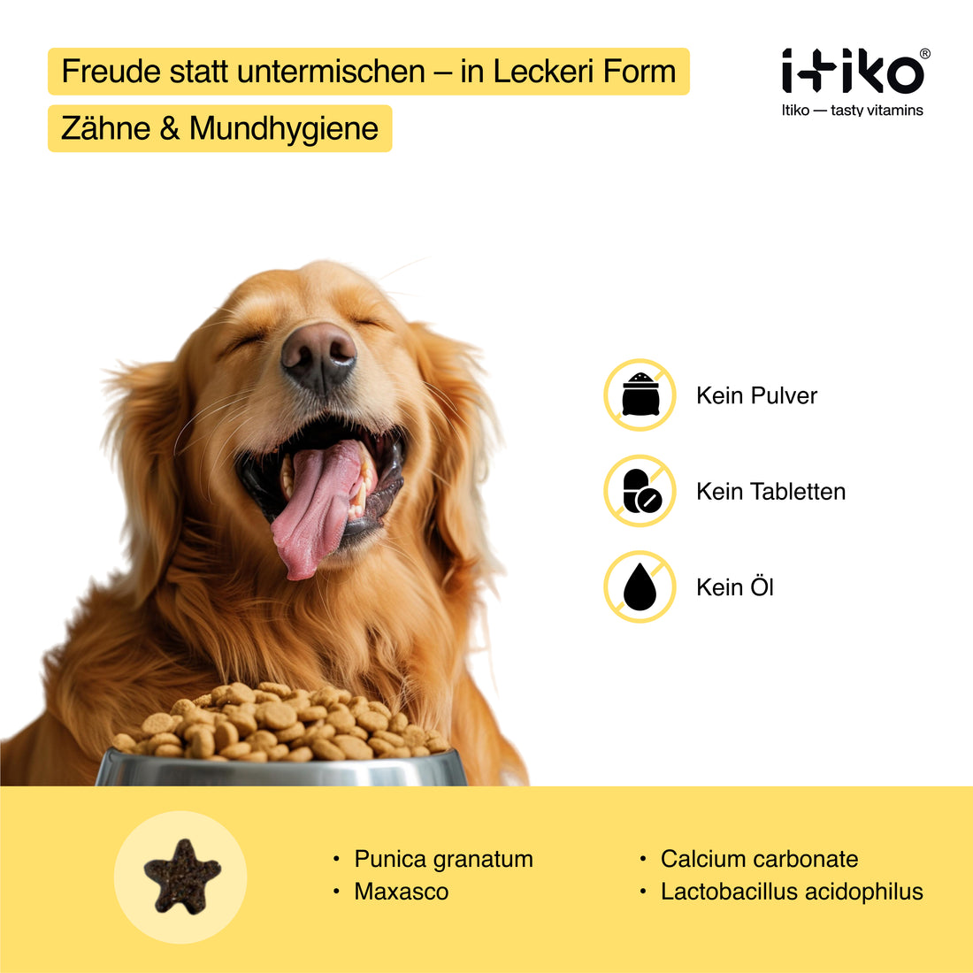 Itiko Zahnpflege-Inhaltsstoffe