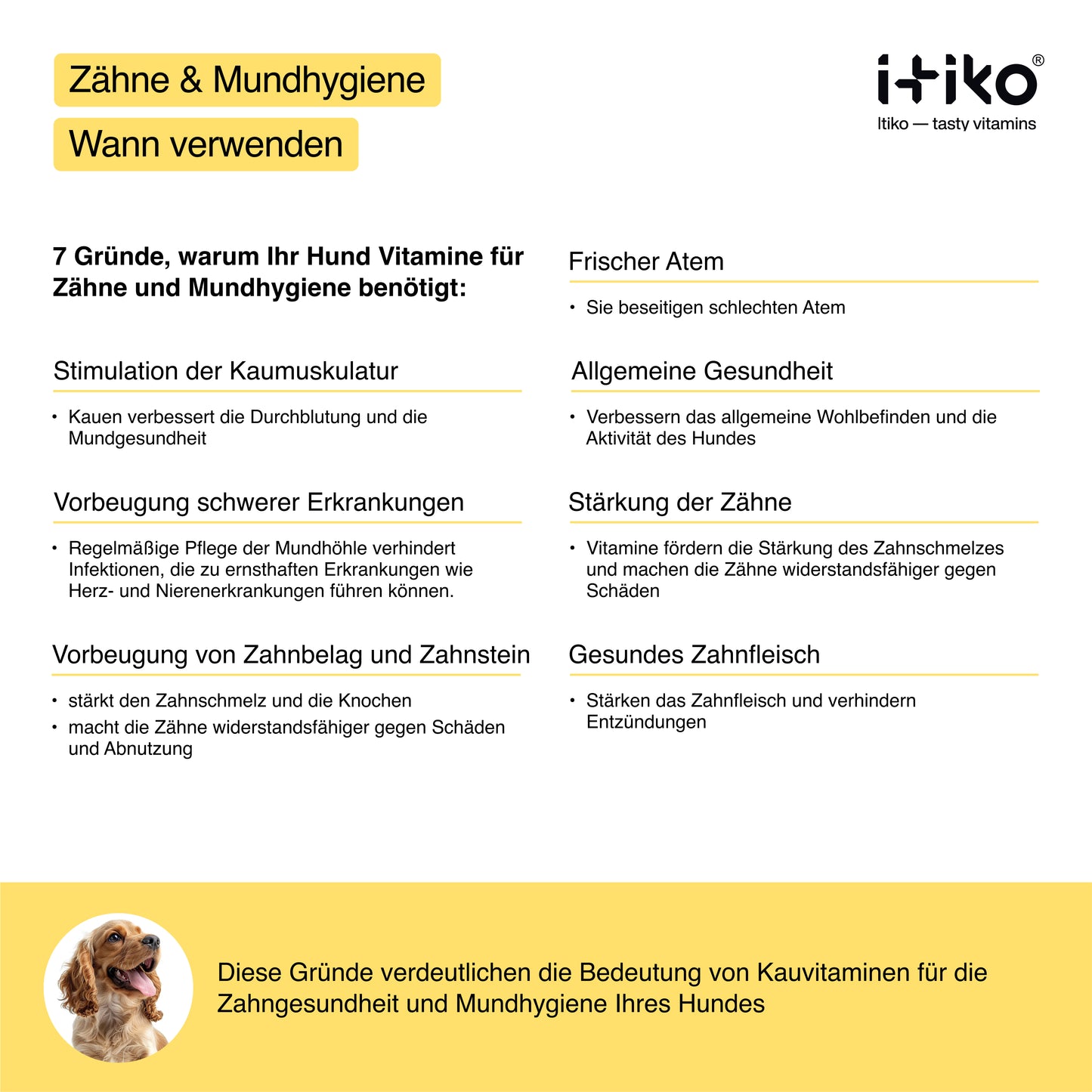 Vitamine für Hunde "Zähne & Mundhygiene"