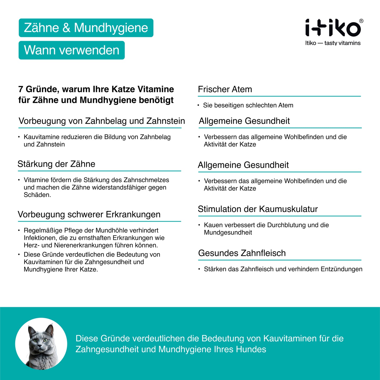 Vitamine für Katzen "Zähne & Mundhygiene"