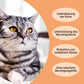 Vitamins for cats "ANTISTRESS"